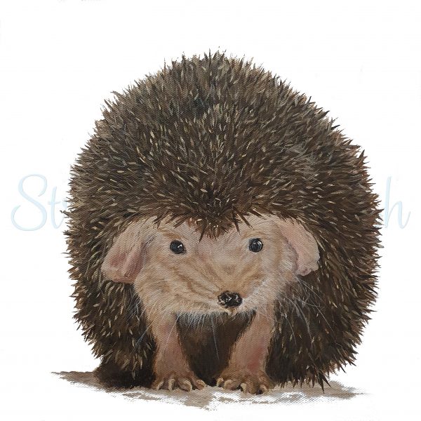 Pets Framed Print 23x23cm - Image 6