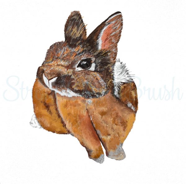 Fine Art Print - Freddie the Rabbit