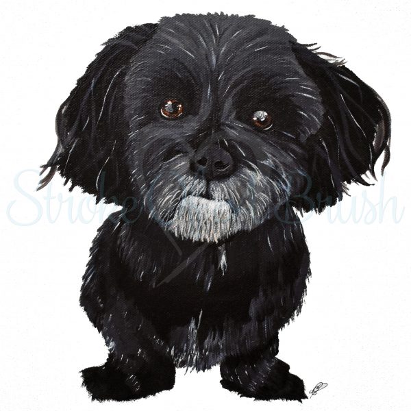 Fine Art Print - Mr Woo (the haveneese dog)