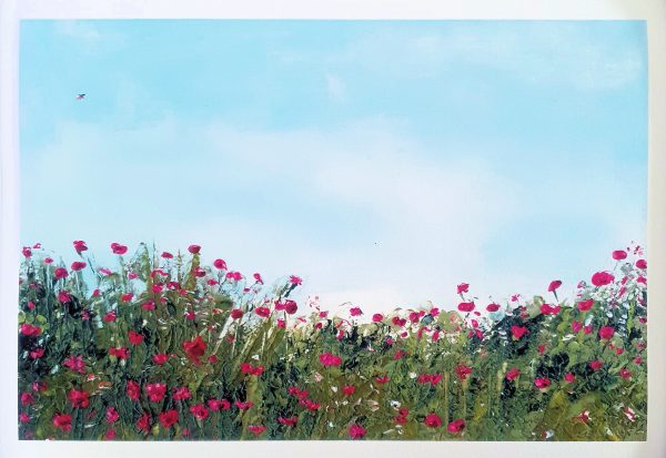 Framed prints - Image 8