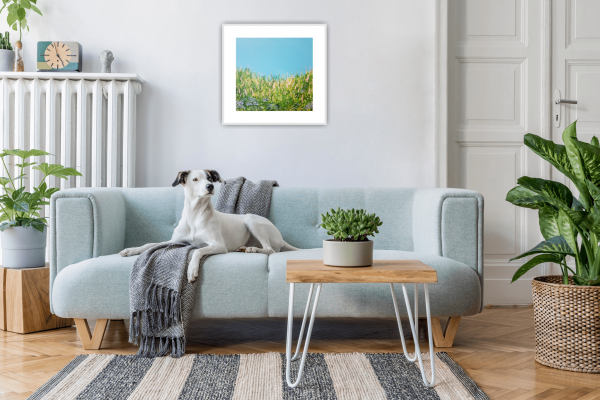 Summer Days Original Painting 12x12" - Image 5
