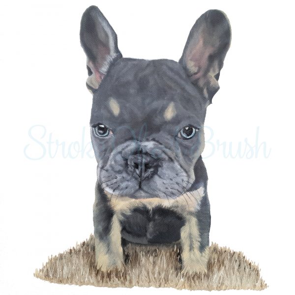 Fine Art Print - Lulu the Frenchie