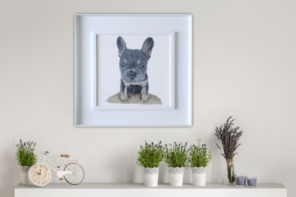 Lulu the Frenchie Original Painting 12x12 Inch