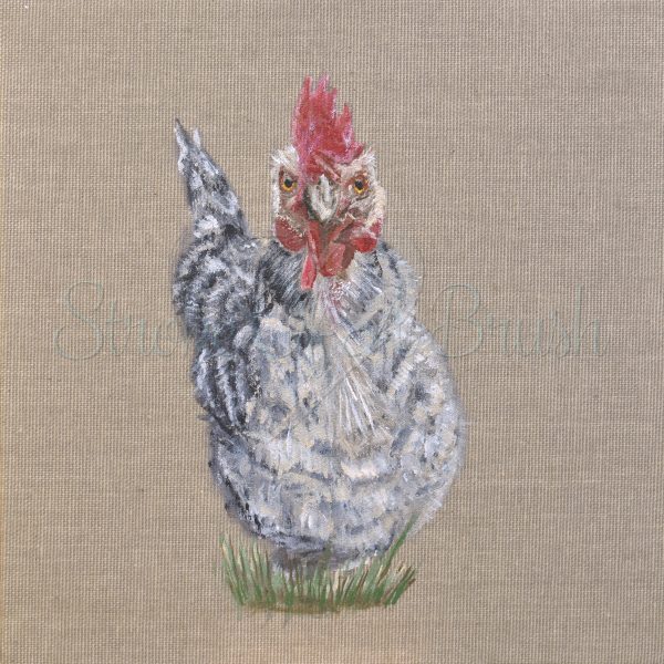 Marmite the Chicken Original Painting 8x8 Inch - Image 6