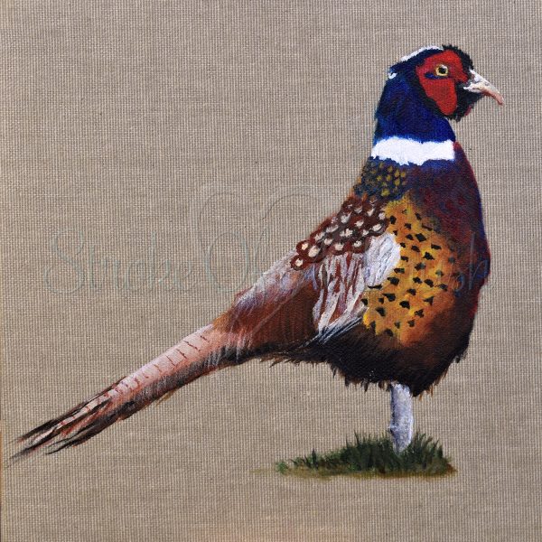 Pedro the Pheasant Original Painting 8x8 Inch - Image 6