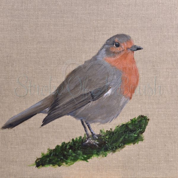 Rupert the Robin Original Painting 8x8 Inch - Image 6