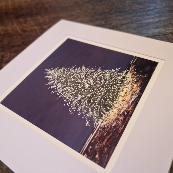 Seasonal Christmas Collection - Image 11