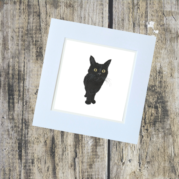 Animal/Pet Collection - Image 10