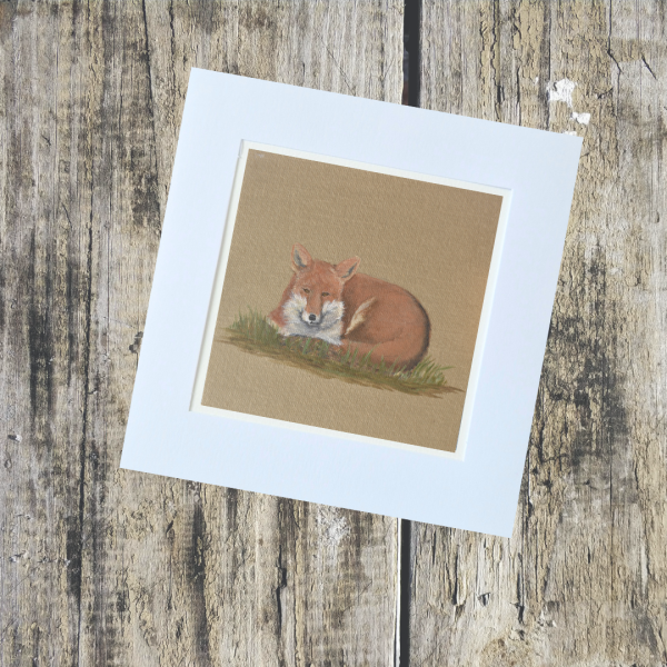 Country Collection - Image 11