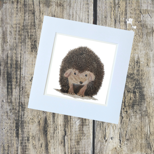 Animal/Pet Collection - Image 7
