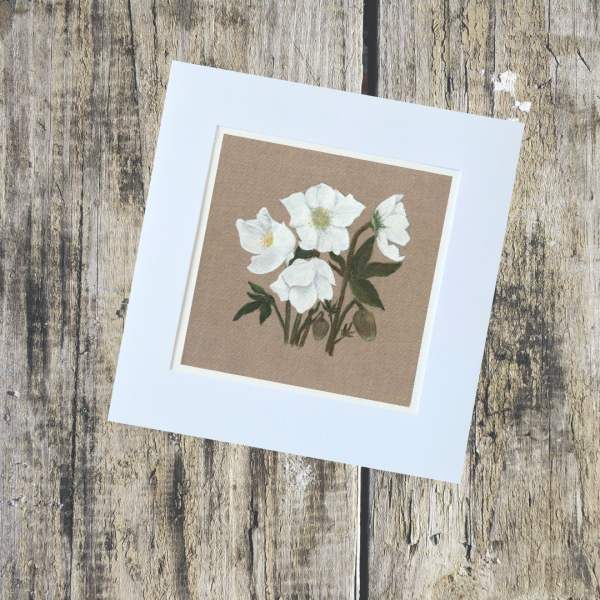 Floral Collection - Image 19