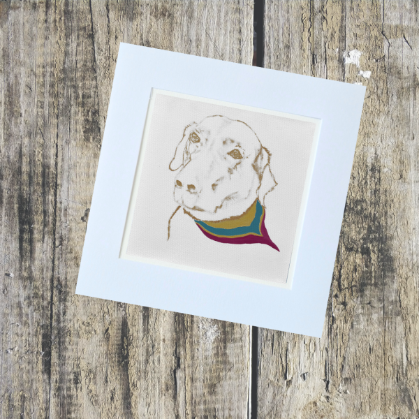 Animal/Pet Collection - Image 5