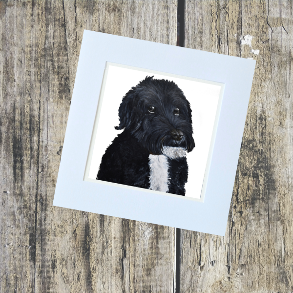 Animal/Pet Collection - Image 3