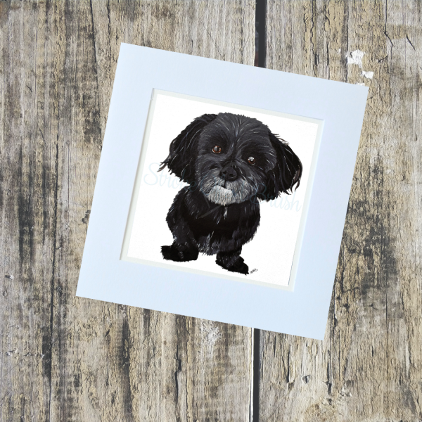 Animal/Pet Collection - Image 17