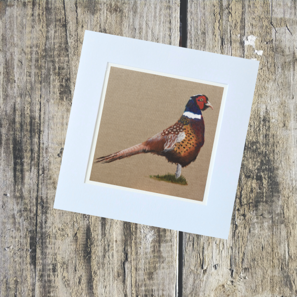 Country Collection - Image 5