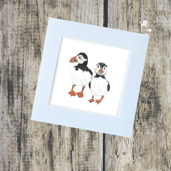 Animal/Pet Collection - Image 16