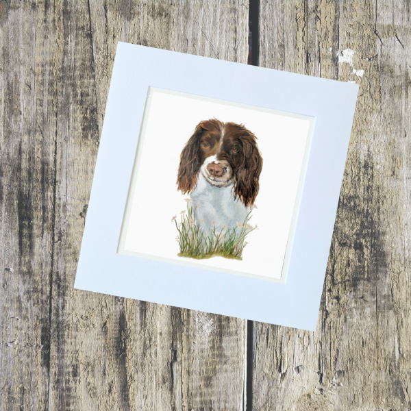 Animal/Pet Collection - Image 15
