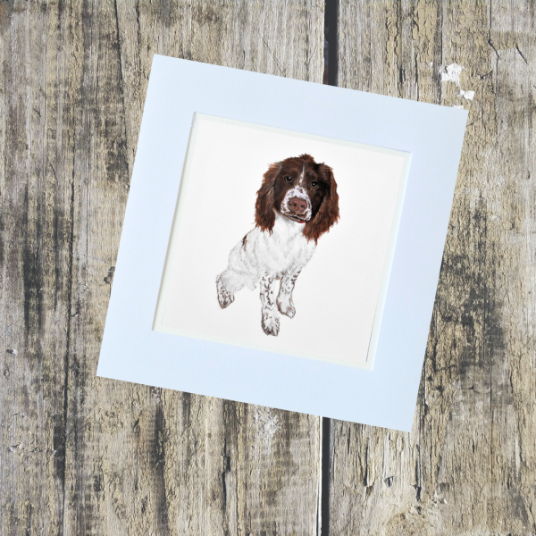 Animal/Pet Collection - Image 14