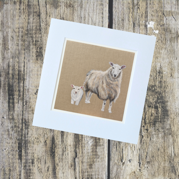 Country Collection - Image 16