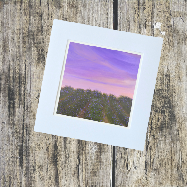 Sunset and Sunrise Collection - Image 13