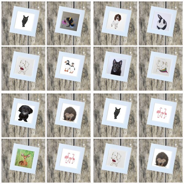 Animal/Pet Collection